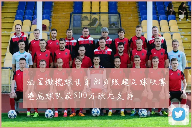 法国橄榄球俱乐部分账超足球联赛垫底球队获500万欧元支持